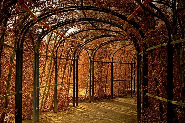 Hedges